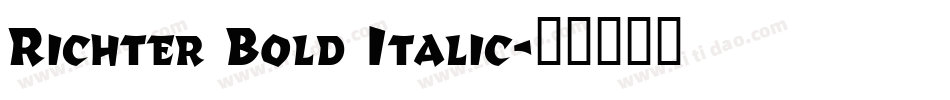 Richter Bold Italic字体转换